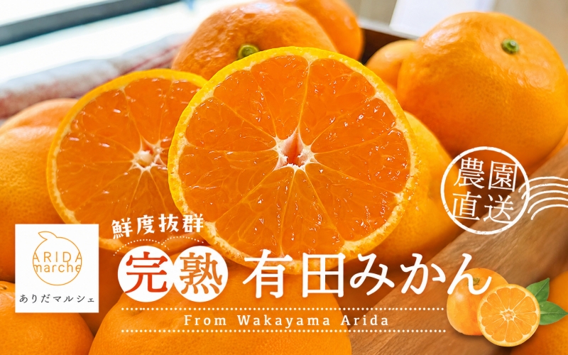 【11月発送】農園直送！完熟有田みかん 約5kg+200g【サイズ混合】【ard003D-11】