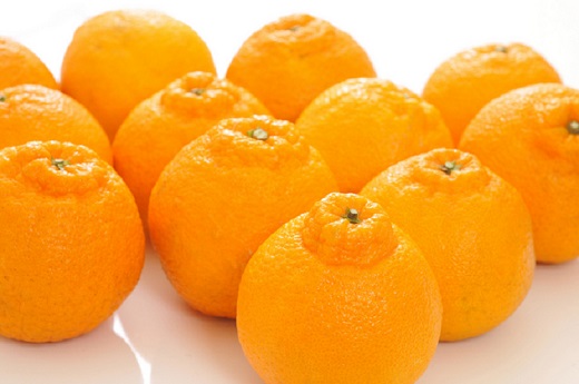 【大人気】和歌山有田の濃厚デコポン　15～24玉(約5kg)　※2027年1月下旬～3月下旬頃順次発送【ard005C】