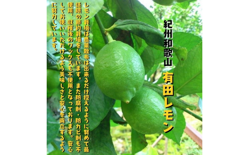【国産】紀州和歌山 有田レモン 1kg+200g(痛み補償分) ※2026年9月下旬～2027年3月下旬に順次発送【ard030B】