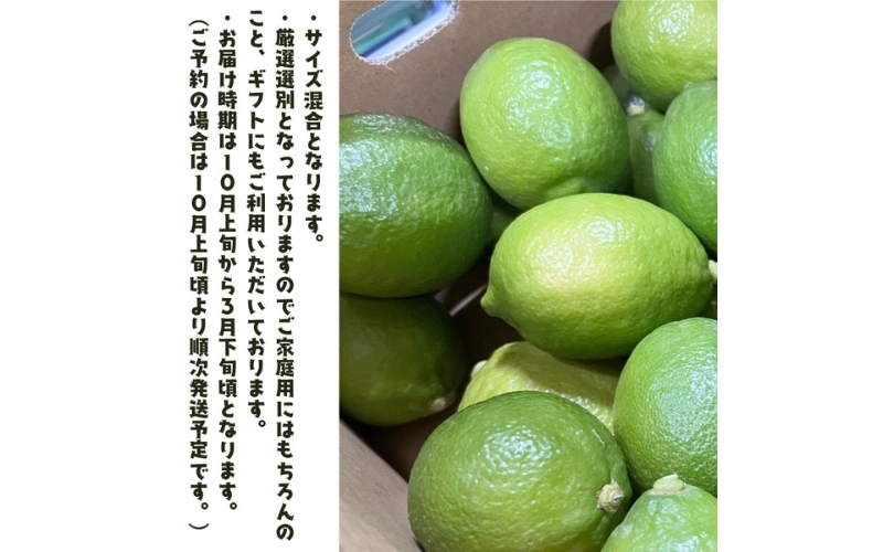 ãåœç£ãçŽå·åæå±± æç°ã¬ã¢ã³ 1kg+200g(çã¿è£åå) â»2026幎9æäžæ¬ïœ2027幎3æäžæ¬ã«é 次çºéãard030Bã