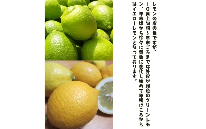 ãåœç£ãçŽå·åæå±± æç°ã¬ã¢ã³ 1kg+200g(çã¿è£åå) â»2026幎9æäžæ¬ïœ2027幎3æäžæ¬ã«é 次çºéãard030Bã