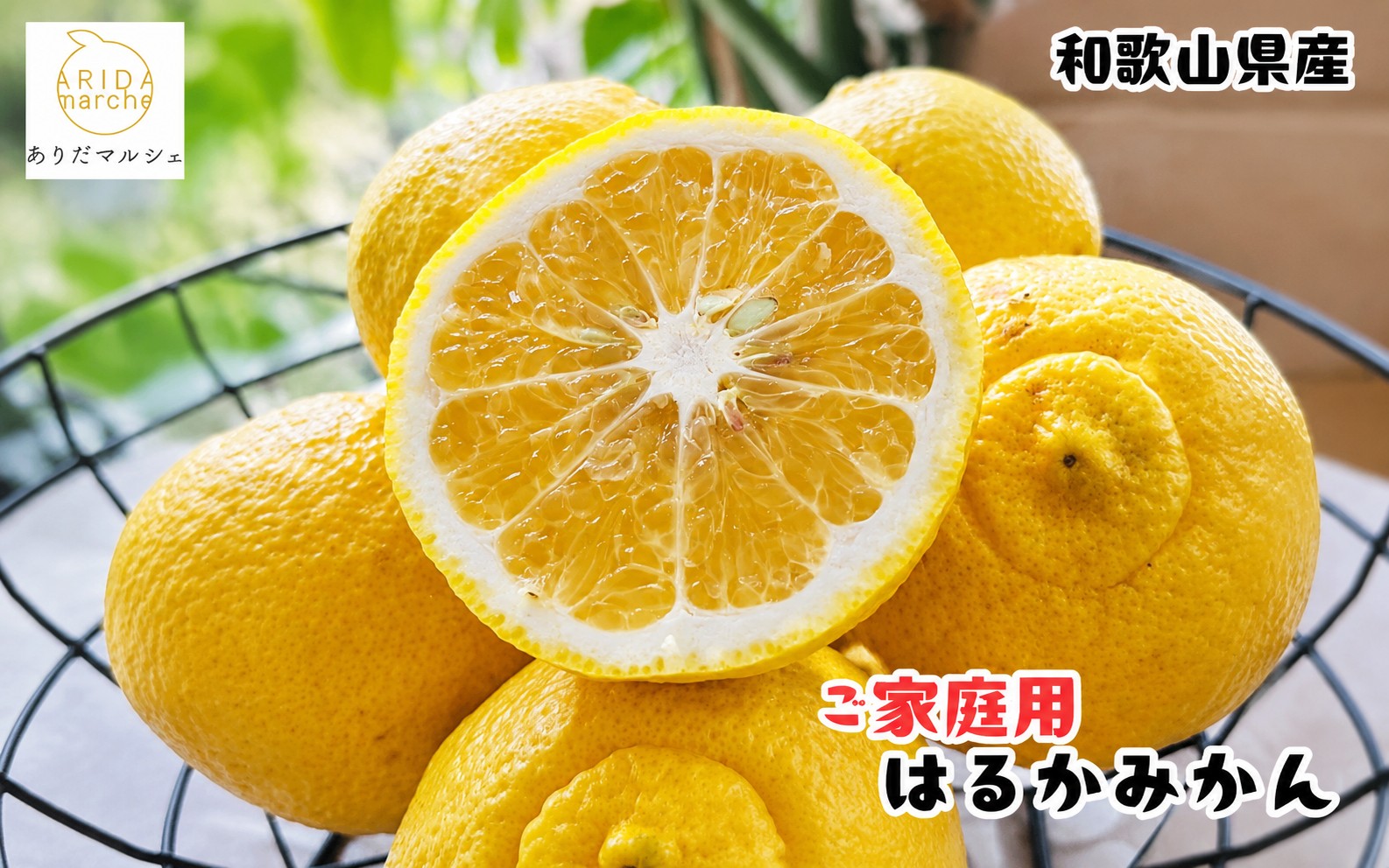 【先行予約】【人気柑橘】 有田育ちの はるか みかん（訳あり 家庭用）10kg+200g(痛み補償分) ※2027年1月下旬～3月下旬に順次発送【ard076C】