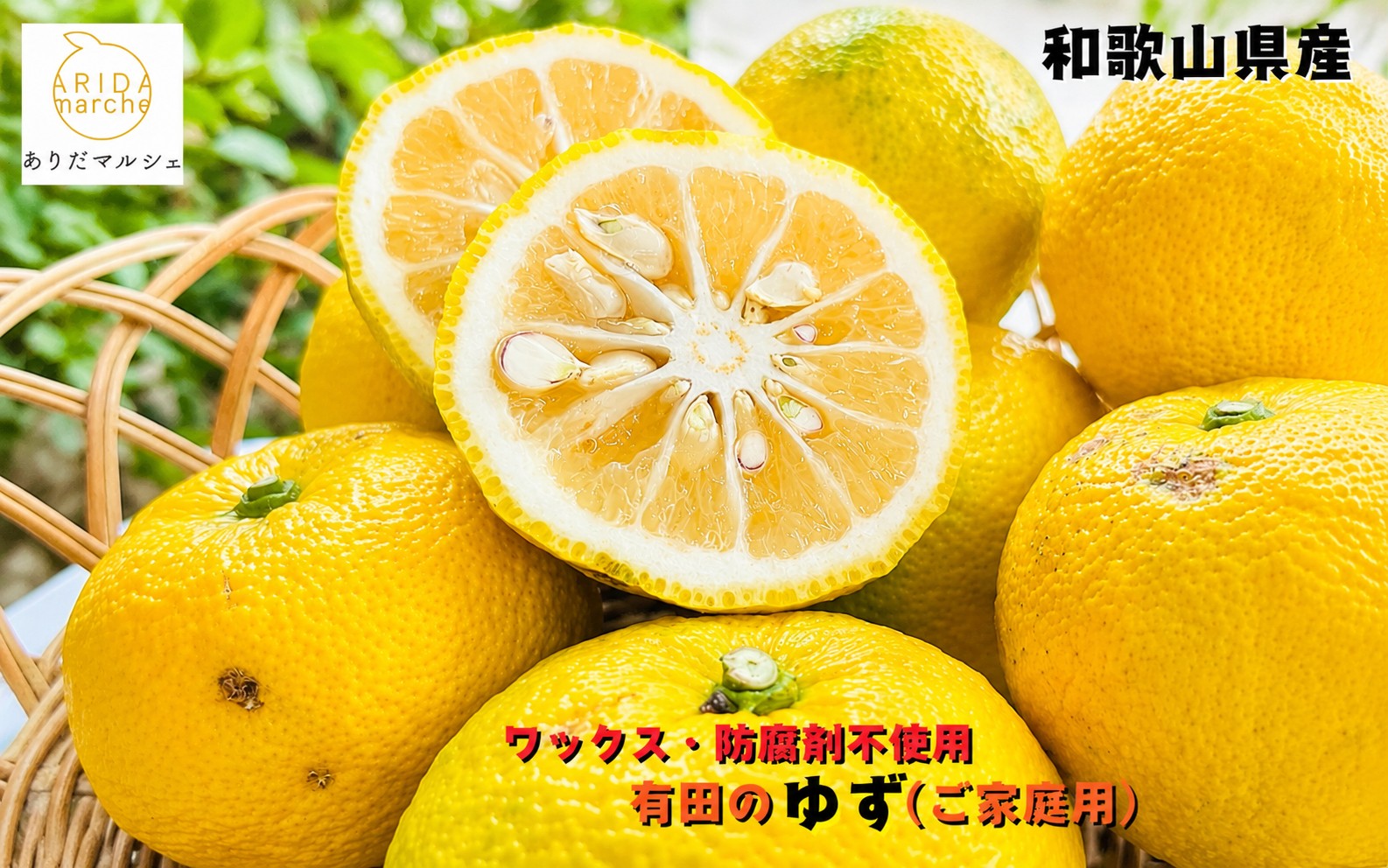 【先行予約】【国産】紀州和歌山のご家庭用訳あり 柚子（ゆず）1kg+200g(痛み補償分) ※2026年10月下旬～2027年1月下旬頃に順次発送 ※北海道・沖縄・離島への配送不可【ard079A】