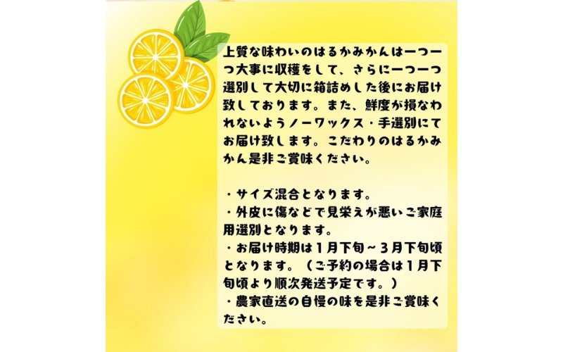 【先行予約】【人気柑橘】 有田育ちの はるか みかん（訳あり 家庭用）5kg+200g(痛み補償分) ※2027年1月下旬～3月下旬に順次発送 ※着日指定不可【ard156B】