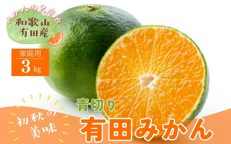 【先行予約】ご家庭用青切り有田みかん　約3kg+200g(傷み補償分) ※着日指定不可 ※北海道・沖縄・離島は配送不可 【2026年9月中旬～10月上旬頃に順次発送予定】【ard145B】