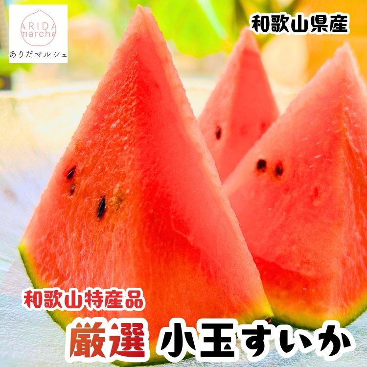 【先行予約】農家直送 厳選 小玉すいか Mサイズ/1玉入り ※2027年6月上旬～6月下旬頃に順次発送予定（お届け日指定不可）【ard175B】