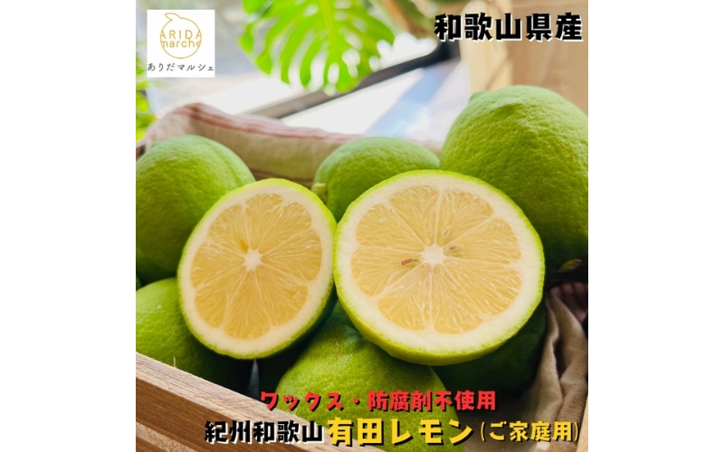 紀州和歌山 ご家庭用 有田 レモン 1.5kg+200g(痛み補償分)【防腐剤・ワックス不使用】【農家直送】【訳あり】 ※着日指定不可 ※2026年9月下旬～2027年3月下旬に順次発送予定【ard188A】