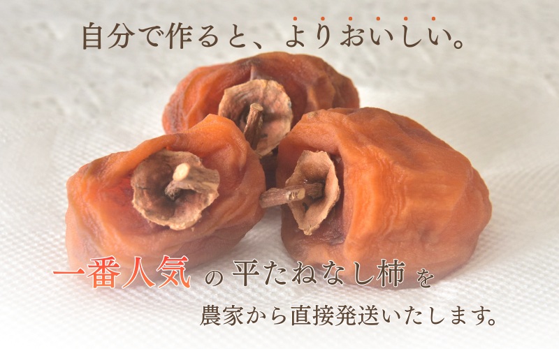 柿 干し柿 甘さが違う！とっても甘くなる生渋柿（平たねなし柿）吊るし柿用 T字枝or吊るしクリップ付 約2.5～3kg 約9～18個 １０月下旬～順次発送(日付指定不可)-Ted【art040A】