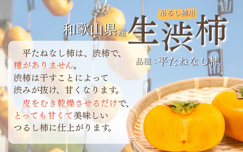 柿 干し柿 甘さが違う！とっても甘くなる生渋柿（平たねなし柿）吊るし柿用 T字枝or吊るしクリップ付 約2.5～3kg 約9～18個 １０月下旬～順次発送(日付指定不可)-Ted【art040A】