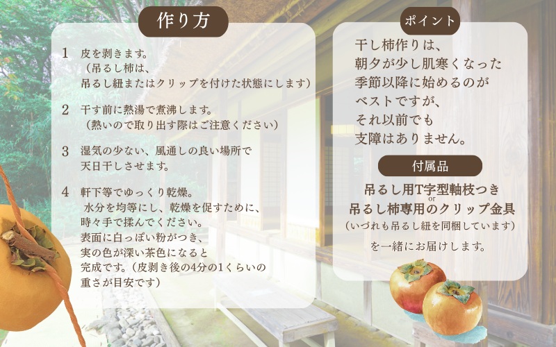 柿 干し柿 甘さが違う！とっても甘くなる生渋柿（平たねなし柿）吊るし柿用 T字枝or吊るしクリップ付 約2.5～3kg 約9～18個 １０月下旬～順次発送(日付指定不可)-Ted【art040A】