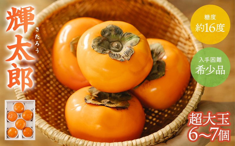 希少な柿【輝太郎】大玉6個～7個 コクのある甘さ！こだわり農家厳選【2026年9月末～10月末頃に順次発送予定】 / 柿 かき 果物 フルーツ 輝太郎 デザート おやつ 和菓子 菓子 お菓子 和歌山産 和歌山県産【kgr018】