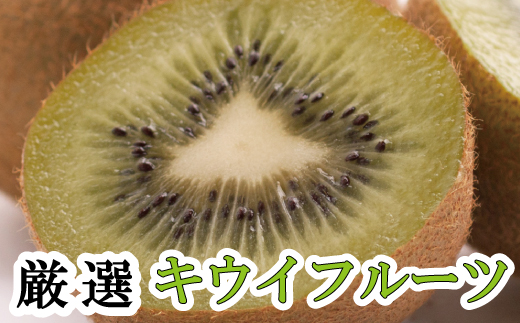 厳選キウイフルーツ0.5kg+250g（傷み補償分）【ikd038D】