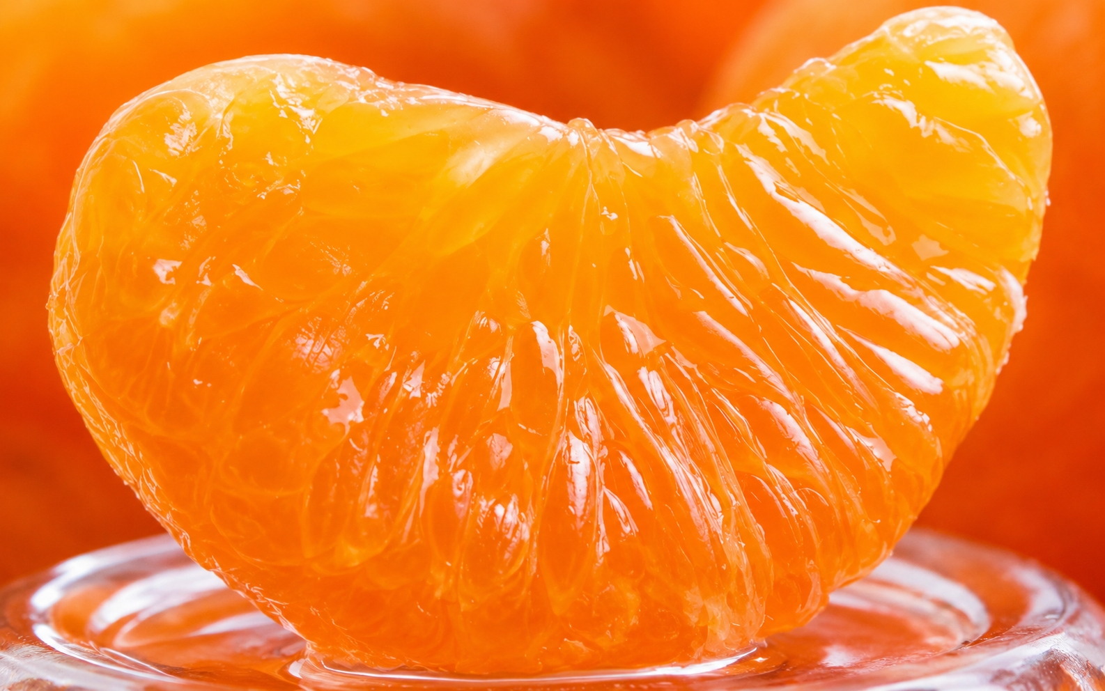ãå
è¡äºçŽãå®¶åºçš 倧ããªæç°ã¿ããïŒå®çïŒ10kg+250gïŒå·ã¿è£ååïŒ â»11æããçºéãããããã»èš³ããããå
ã»ã³ãµãŒéžæãâ»åæµ·éã»æ²çžã»é¢å³¶é
éäžå¯ / ã¿ãã ãã ãã® æç© åæå±± æç°ã¿ãã æç° ãã«ã³ãikd120Dã