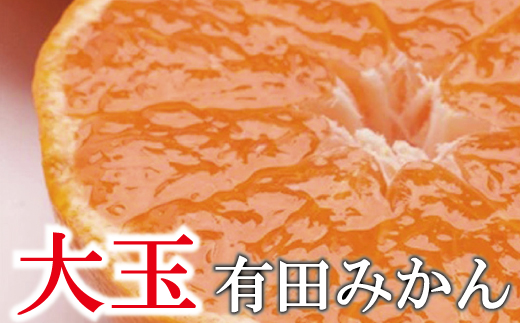 【先行予約】家庭用 大きな有田みかん（完熟）5kg+250g（傷み補償分） ※11月より発送【わけあり・訳あり】【光センサー選果】 ※北海道・沖縄・離島への配送不可 / 和歌山 オレンジ 果物 フルーツ 果汁 柑橘 みかん ミカン【ikd156C】