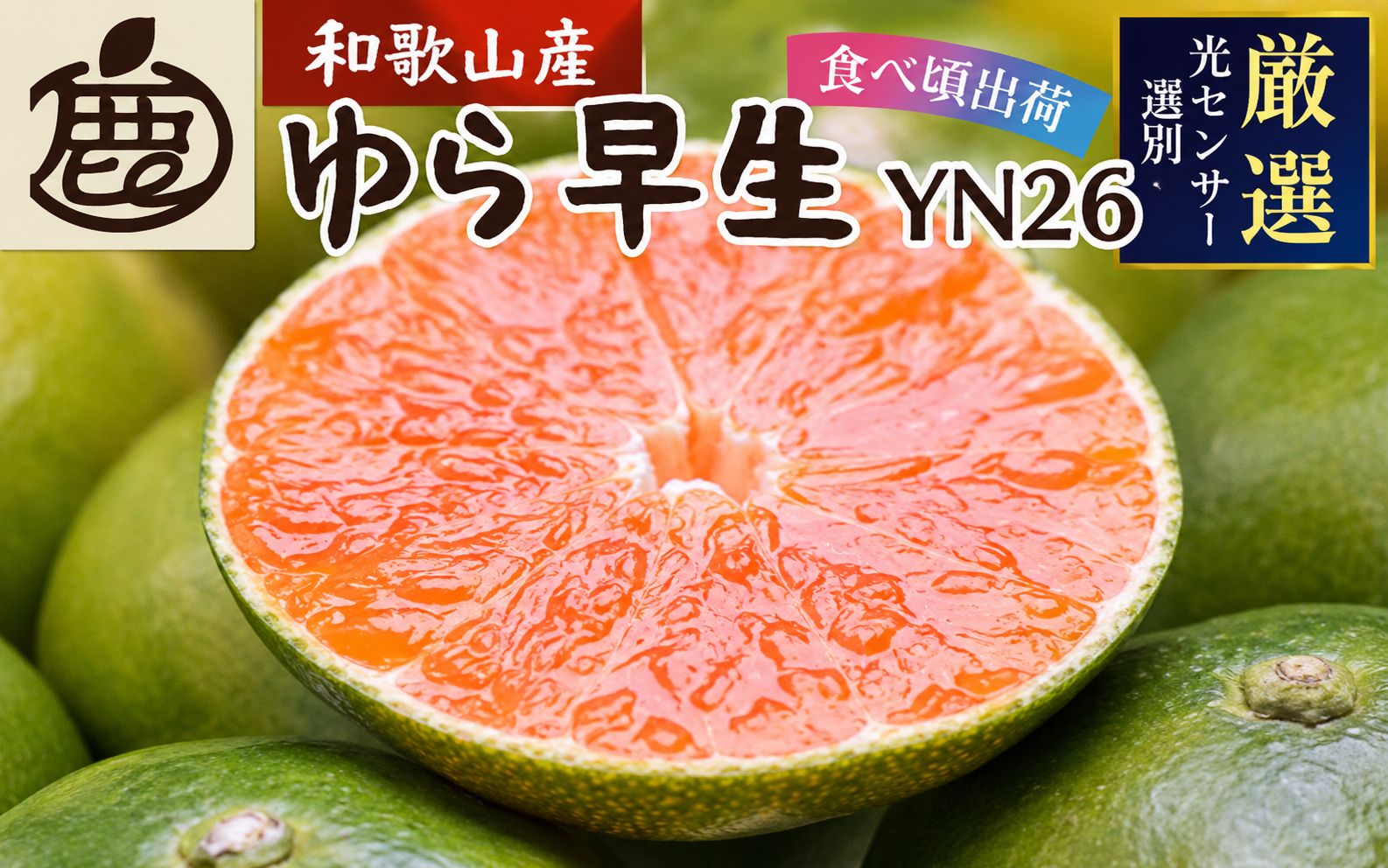 【先行予約】プレミアム 有田みかん（ゆら早生）10kg+250g（傷み補償分） ※北海道・沖縄・離島配送不可 / 和歌山 有田 みかん ミカン 柑橘 果物 フルーツ 有田みかん 【ikd213A】