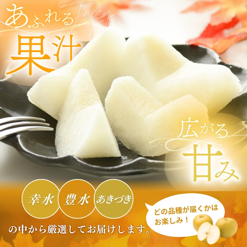 ãå
è¡äºçŽãæ¬ã®æ¢š(幞氎ãŒè±æ°ŽãŒããã¥ã) 極äžç§åïŒäžçïœå€§çïŒ6ïœ8åå
¥ã 2026幎8æäžæ¬ïœ9æäžæ¬é ã«é 次çºéäºå®ïŒãå±ãæ¥æå®äžå¯ïŒ/ åæå±± 梚 ãã«ãŒã æç© ãã ãã®ãkgr015ã