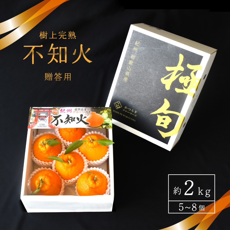 【先行予約】【数量わずか】樹上完熟しらぬい（不知火） 5個~8個 秀品 2026年2月下旬頃～4月中旬頃に順次発送予定（お届け日指定不可）/ 和歌山 みかん しらぬい 不知火 フルーツ 柑橘 蜜柑 果物 くだもの【kgr014】