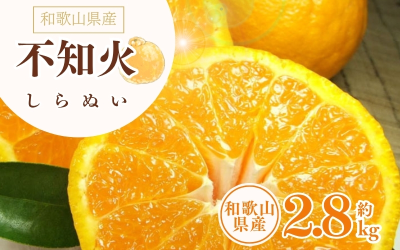 デコ不知火（デコポン） 約2.8kg/サイズおまかせ　※2026年2月上旬～2026年4月上旬頃に順次発送予定(お届け日指定不可)　紀伊国屋文左衛門本舗　【kstb421C】