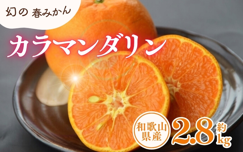 カラマンダリン 約2.8kg/サイズおまかせ　※2026年4月上旬～2026年5月上旬頃に順次発送予定(お届け日指定不可)　紀伊国屋文左衛門本舗　【kstb471B】