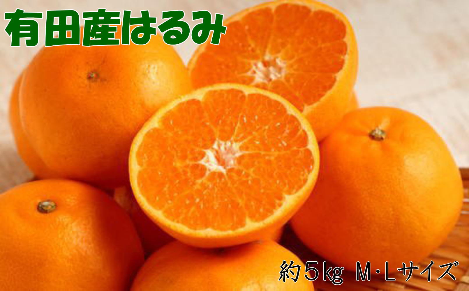 【厳選・濃厚】紀州有田産のはるみ約5kg（M～Lサイズおまかせ） ※2027年1月下旬～2027年2月中旬頃順次発送（お届け日指定不可）【tec914B】