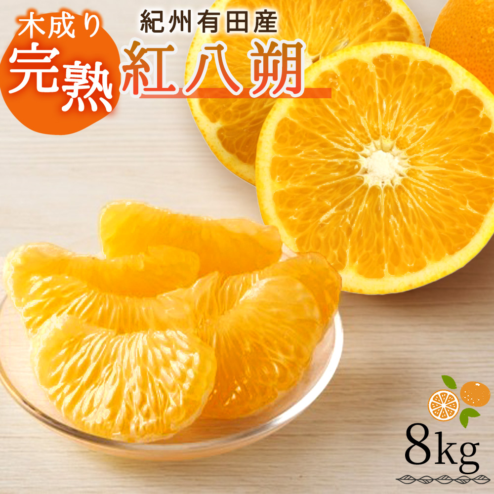 【先行予約】紀州有田産木成り完熟紅八朔８kg ※2027年2月下旬頃〜3月中旬頃に順次発送予定（お届け日指定不可）/ みかん 不知火 和歌山 フルーツ 有田【uot795】