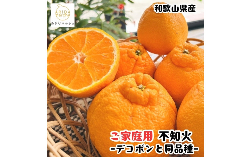 有田育ちの濃厚 不知火 ( デコポン と同品種)( 訳あり 家庭用 )  2kg+200g(痛み補償分) ※2027年1月下旬～3月下旬に順次発送【ard020C】