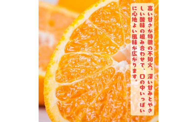 特選 濃厚 不知火 (通称デコポン)  5kg+200g(痛み補償分) ※2027年1月下旬～3月下旬に順次発送【ard259】
