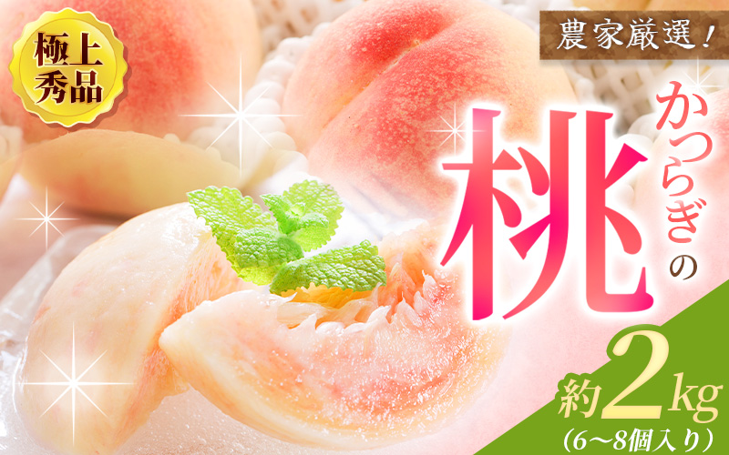 【先行予約】【厳選】あふれる果汁で口いっぱい！ 和歌山県産 桃 約2kg（6個~8個） 【2027年6月20日頃～順次発送予定】（お届け日指定不可）/ 和歌山 桃 モモ フルーツ もも 白桃 果物 くだもの【kgr001B】