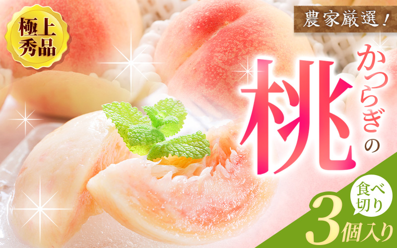 【先行予約】【厳選】あふれる果汁で口いっぱい！ 食べきりサイズ 和歌山県産 桃 3玉 【2027年6月20日頃～順次発送予定】（お届け日指定不可）/ 和歌山 桃 モモ フルーツ もも 白桃 果物 くだもの【kgr002】