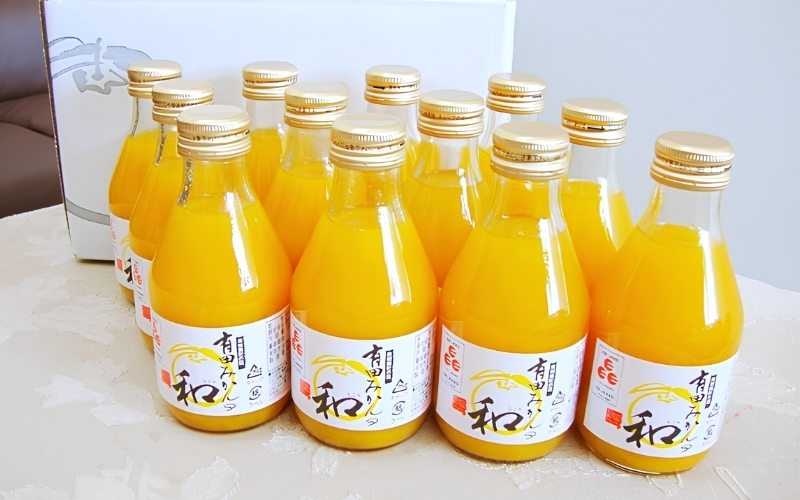 有田みかんの和（なごみ）180ml×12本