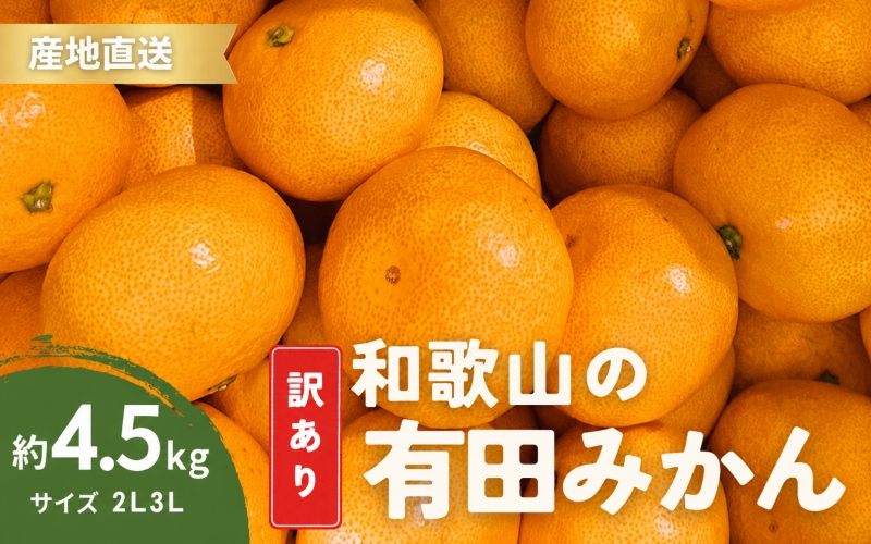 家庭用 有田みかん 和歌山 訳あり わけあり 大玉(2L,3Lサイズ混合) 4.5kg【11月上旬～1月下旬頃に順次発送】/ みかん フルーツ 果物 くだもの 有田みかん 蜜柑 柑橘【ktn011A】