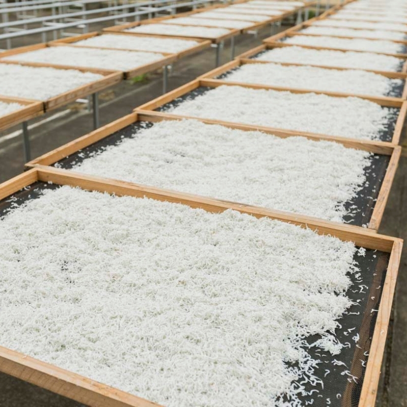茹でたて釜揚げしらす　海の恵　500g【冷凍】無添加・無着色 しらす シラス 釜揚げ 冷凍