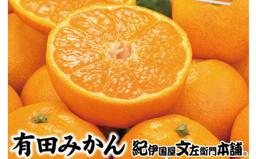 ブランド有田みかん【M】秀品10kg ／産地直送／薄皮で甘い美味しい和歌山県産／紀伊国屋文左衛門本舗　※2026年11月上旬～2027年1月中旬頃に順次発送予定（お届け日指定不可）【kstb142C】