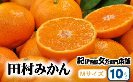 田村みかん 特選ギフト品 10kg【Mサイズ】赤秀/紀州和歌山有田郡湯浅町田村地区産 ◆2026年11月下旬～2027年1月中旬頃に順次発送予定(お届け日指定不可)　紀伊国屋文左衛門本舗【kstb303C】