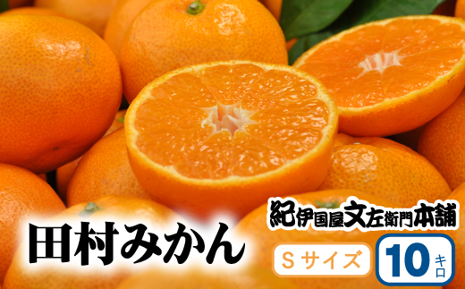田村みかん 特選ギフト品 10kg【Sサイズ】赤秀/紀州和歌山有田郡湯浅町田村地区産 ◆2026年11月下旬～2027年1月中旬頃に順次発送予定(お届け日指定不可)　紀伊国屋文左衛門本舗【kstb304C】
