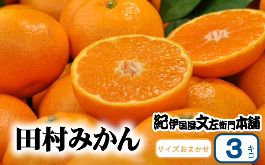 田村みかん 特選ギフト品 3kg サイズおまかせ 赤秀/紀州和歌山有田郡湯浅町田村地区産 ◆2026年11月下旬～2027年1月中旬頃に順次発送予定(お届け日指定不可)　紀伊国屋文左衛門本舗【kstb308B】