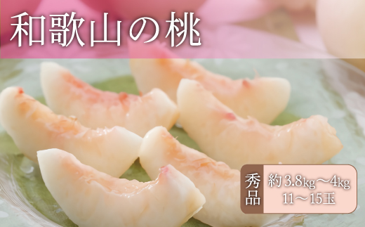 和歌山の桃 秀品 [約3.8～4kg] (サイズ・品種おまかせ) ※2026年6月中旬～2026年8月中旬頃に順次発送予定　紀伊国屋文左衛門本舗 和歌山 もも モモ 桃 果物 フルーツ 人気 産地直送 和歌山県 お取り寄せ【kstb800B】
