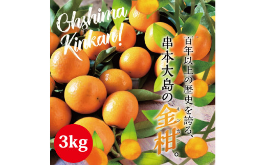 【フルーツ王国 和歌山県からお届け】串本大島のキンカン 3kg （2L～L）※2026年3月より順次発送　 金柑 きんかん 果実 フルーツ 国産 和歌山【jak100】