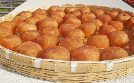 甘さが違う！とっても甘くなる生渋柿（平たねなし柿）あんぽ柿用 T軸枝無 約1.5～2kg　6～12玉＜2026年10月中旬～順次発送＞-AP【art018B】