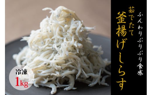 茹でたて釜揚げしらす　1kg箱入り【冷凍】無添加・無着色 しらす シラス 釜揚げ 冷凍