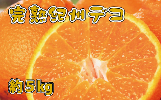 果肉プリプリ♪　完熟紀州デコ(不知火) 約5kg ＜2026年2月下旬頃～2026年3月中旬頃発送＞（お届け日指定不可）【uot707A】