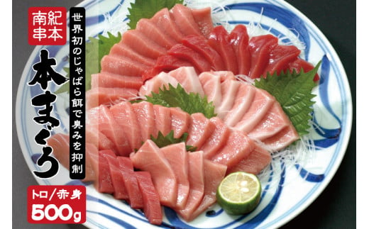 本マグロ トロ＆赤身セット 500g（養殖）【2週間以内に発送】 濃厚な赤身と高級部位トロの鮪好きにはたまらないセット / 高級 クロマグロ まぐろ マグロ 鮪 中トロ 赤身 大トロ 柵 マグロ中トロ 刺身 本マグロ 