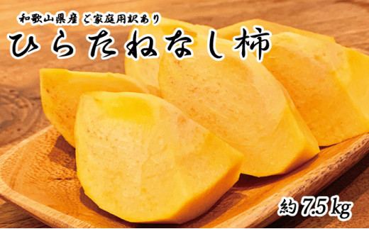 【2026年発送分予約】【ご家庭用わけあり】和歌山秋の味覚　平核無柿（ひらたねなしがき） 約7.5kg　※2026年10月上旬頃〜11月上旬頃に順次発送（お届け日指定不可）【uot718A】