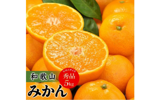 【予約受付】田村みかん　秀品5キロ/サイズおまかせ◆2026年11月下旬～2027年1月中旬頃に順次発送予定(お届け日指定不可)　紀伊国屋文左衛門本舗【kstb301B】