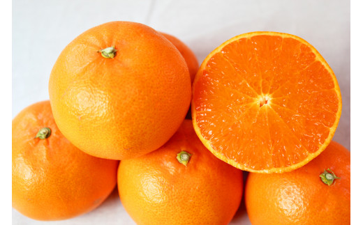 ãšããã飿ïŒãžã¥ãŒã·ãŒææ©ãããšããçŽ3kgãäºçŽãâ»2026幎2æäžæ¬é ïœ2026幎3æäžæ¬é çºé(ãå±ãæ¥æå®äžå¯)ãuot506Aã