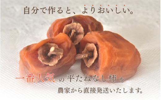 柿 干し柿 甘さが違う！とっても甘くなる生渋柿（平たねなし柿）吊るし柿用 T字枝or吊るしクリップ付 約2.5～3kg 約9～18個 １０月下旬～順次発送(日付指定不可)-Ted【art040】