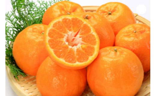 果肉入り！くしもとポンカンジュース 900g ×6本 無添加 果肉入り 果汁100% ストレートジュース / ドリンク 柑橘 ぽんかん フルーツ みかん ミカン オレンジ 限定 和歌山【sse206B-6】