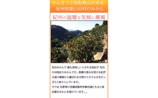 【ご家庭用訳あり】田村みかん　5kg ※2026年11月下旬～2027年1月下旬頃に発送（お届け日指定不可）（お届け日指定不可）訳ありみかん 温州みかん【uot754A】
