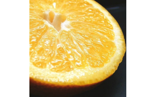 å
«æ(ã¯ã£ãã)çŽ5kg ãµã€ãºããŸãããçŽäŒåœå±æå·Šè¡éæ¬è â»2026幎1æäžæ¬ïœ2026幎4æäžæ¬é ã«çºéäºå®ãkstb410Bã