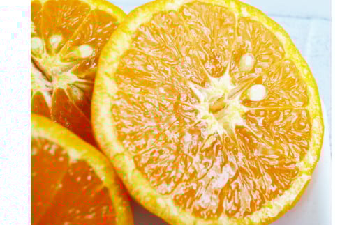 【ご家庭用訳アリ】初夏のみかん なつみ7.5kg　※2026年4月中旬頃～2026年4月下旬頃に順次発送予定(お届け日指定不可)【uot733A】